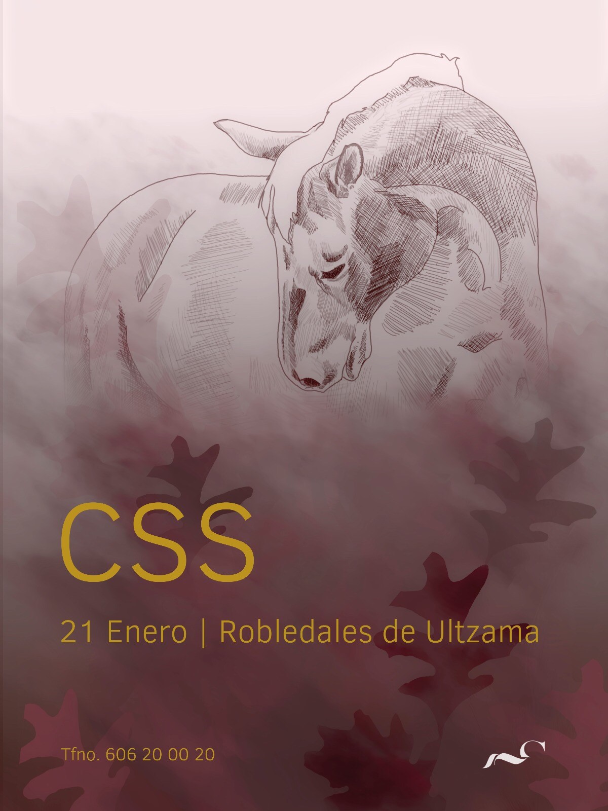 Clinic y CSS en el Centro Ecuestre Robledales los días 20 y 21 de enero